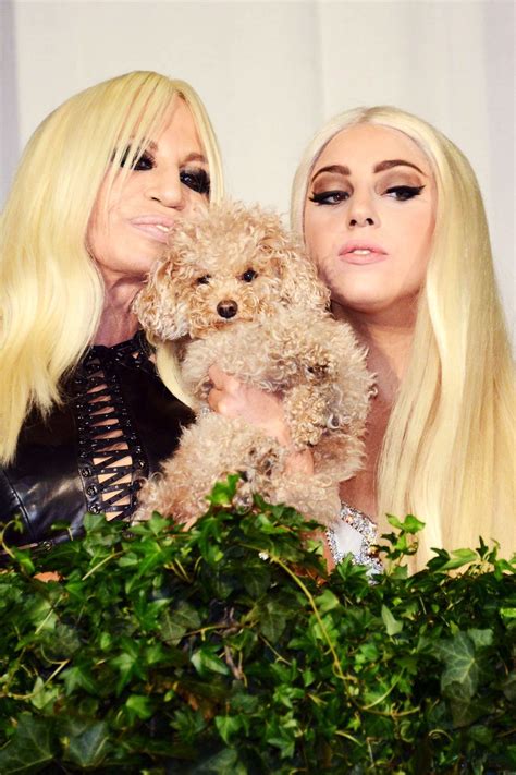 lady gaga versace instagram